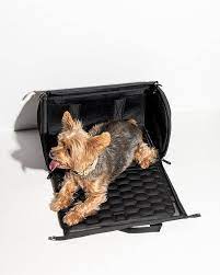 This gave us an idea of the brands aussies trust and some pros reckon filter coffee is smoother, cleaner, sweeter and lighter than espresso, which can be. The Best Black Friday Deals For Pets