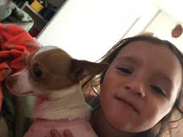 my pretty baby girl nala 💗💗