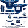 Louis blues star winger vladimir. 1