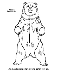 Animal Outlines To Print Wild Animal Coloring Page Kodiak Bear Up Coloring Page Animal Coloring Pages Bear Coloring Pages Animal Outline