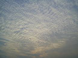That is because our ftserver systems are redundant at the hardware layer yet still support all of the major hybrid cloud hypervisors such as vmware and kvm. The Types Of Clouds Everything You Need To Know