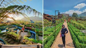 Harga tiket masuk coban talun. Cafe Sawah Pujon Kidul Destinasi Hits Di Malang Yang Menyajikan Pemandangan Alam Menakjubkan