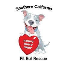 Maybe you would like to learn more about one of these? California Pit Bull Rescue Home Facebook