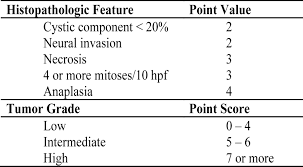 Mucoepidermoid carcinoma (mec) presents a wide variety of histological appearances. Https Www Journalrmc Com Volumes 1422984496 Pdf