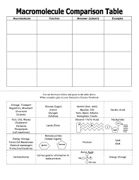 Macromolecules Chart Activity Biology Hs Teaching