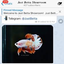 Just Betta Click To Join Our Telegram Group Get Facebook