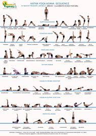 42 Best Yogalates Poses Yoga Asanas Hatha Yoga Sequence Hatha Yoga