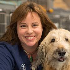 Veterinarian In Williston, VT 05495