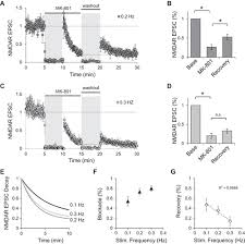 How psychotropics act on the brain. Rapid Exchange Of Synaptic And Extrasynaptic Nmda Receptors In Hippocampal Ca1 Neurons Journal Of Neurophysiology