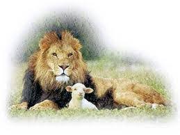 Image result for images â€œI Am the Lion and the Lamb