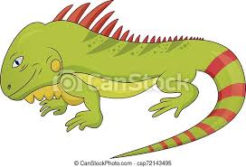 On the stomach of the cartoon lizard, draw a long patch using a curved line. Funny Iguana Lizard Cartoon Cartoon Vector Illustration Of Funny Iguana Lizard Reptile Animal Canstock