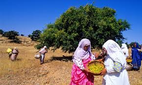 Argan Oil The Cost Of The Beauty Industry S Latest Wonder Ingredient Argan Oil Argan Oil Benefits Beauty Industry
