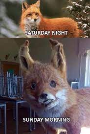 30 Hangover Memes That Are Way Too True Sayingimages Com Funny Hangover Memes Funny Hangover Quotes Hangover Humor