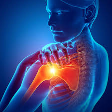 The long head of the biceps tendon: Shoulder Tendonitis