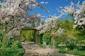 Shinzen Japanese Garden Fresno All You Need To Know Before You Go Updated 2021 Fresno Ca Tripadvisor