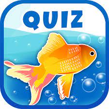 A few centuries ago, humans began to generate curiosity about the possibilities of what may exist outside the land they knew. App Insights Guess The Fish Quiz Questions And Answers Game Apptopia