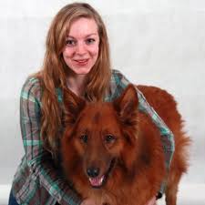 With sumdog, you can easily see pupil activity at a glance and the powerful diagnostic tool enables you to quickly identify strengths and areas for development. Emo Dog Lab Dogemotion Twitter