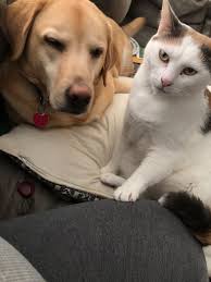 Bailey Wetzel (@BaileyBoyRoo) • Facebook