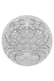 Goed kleurplaat voor volwassenen uil kleurplaat 2019. Mandala Dieren Kleurplaten Dieren
