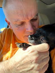 Total animals transported this year