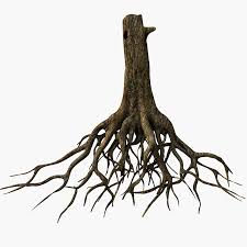 Tree Roots 3d Model Tree Roots Roots Aztec Artifacts