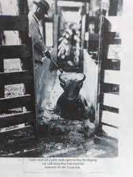 Image result for dip vat