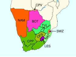 Image result for Dichilus bainesii