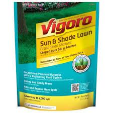 Miniclover® white clover seeds for clover lawns. Vigoro 3 Lb Grass Sun Shade Lawn Seed 52219 The Home Depot Shade Grass Seeding Lawn Grass Seed For Shade