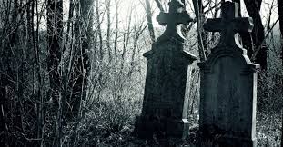 We did not find results for: 5 Tempat Angker Di Dunia Kota Hantu Di Dasar Danau Paling Menakutkan