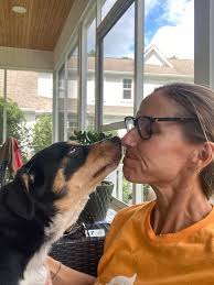 adopting a shelter dog from pamlico animal service