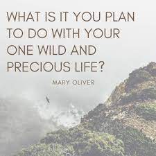 Maria Shriver Mary Oliver Was A Dear Close Friend Of Facebook