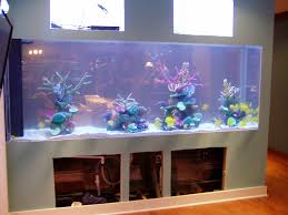 Built In Aquarium Fish Tank Wall Home Aquarium Aquarium Fish