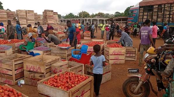 Fresh tomatoes record 158.3% price jump in August – GSS Fresh tomato prices surged by 158.3% year-on-year in August 2026, making the commodity the biggest price mover recorded by the Ghana Statistical