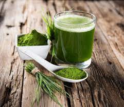 Wheatgrass is an excellent source of many different vitamins and. 20 Wheatgrass Benefits For Weight Loss Health Skin And Hair