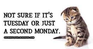 I can't even see the weekend from here.. Funny Happy Tuesday Morning Quotes With Funny Tuesday Memes