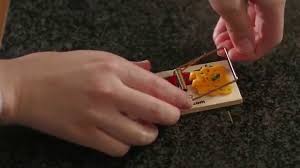 If you have unwanted guests in your home a traditional mouse trap is just one way to take care of the problem. Mechanical Mouse Traps Tomcat Scotts Miracle Gro Canada Youtube