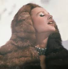 Model Wearing A Hood Of Russian Crown Sable by Henry Clarke