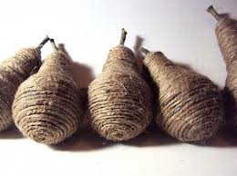 Image result for daur ulang bohlam terarium mini