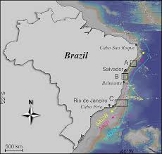 Frontiers | Controlling Parameters of Benthic Deep-Sea Foraminiferal  Biogeography at the Brazilian Continental Margin (11-22°S)