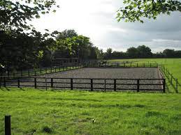 Build A Riding Arena At Home - Horse Illustrated