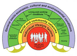 Political Determinants Social Determinants Of Health Electronic Health Records Education Lifestyle