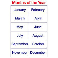 months of the year educational laminated chart