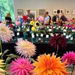 Greenwich Dazzling Dahlia Show 2026