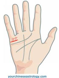 Children Lines Kids Line Palm Reading How Many Children Will You Have Palm Reading Palmistry Reading Palmistry