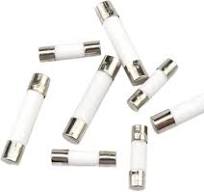 Amazon.com: RAEZWJTDC 500PCS,Ceramic Fuse Tube,Fast Blow ...