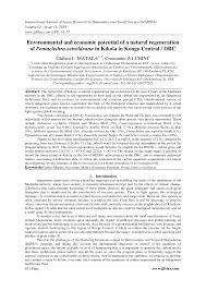 Image result for Millettia eetveldeana