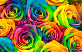 Check spelling or type a new query. Colours That Represent Love Across Cultures