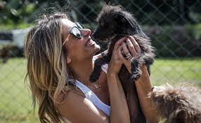 Найти все фотографии из instagram и другие типы медиа luisamell у luisa mell инстаграм agora assistam e se emocionem com luisa visita de hj. Luisa Mell Nega Roubo De Cachorro De Raca Exotica Falsas Acusacoes 16 06 2021 Bichos F5