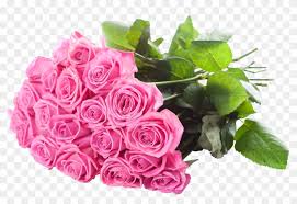 Bunch Of Pink Rose Friend Blessing Happy Birthday Wishes Free Transparent Png Clipart Images Download Great collection of happy birthday gifs for her. friend blessing happy birthday wishes