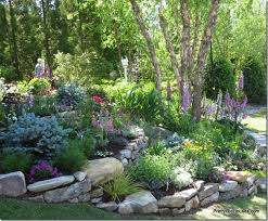 7 Img 0726 Rock Garden Landscaping Garden Landscape Design Sloped Garden
